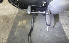 HARLEY XL883N 2018