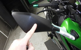 KAWASAKI NINJA 1000 SX 2021