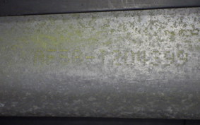 HONDA ZOOMER 2024 AF58