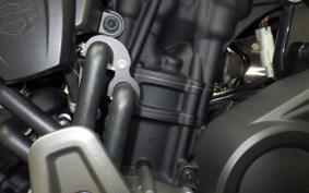 HARLEY RH975 2022