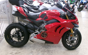 DUCATI PANIGA-REV4S 2020 DA00J