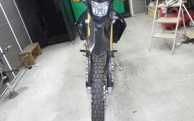HONDA CRF250L 2019 MD44