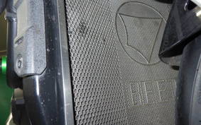 KAWASAKI ZH2 SE 2021