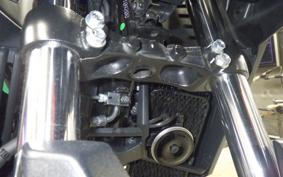 SUZUKI Vストローム250SX 1999 EL11L