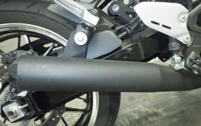 KAWASAKI Z900RS 2021 ZR900C