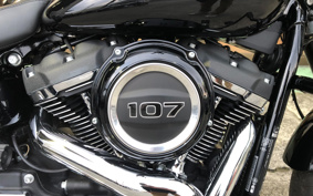 HARLEY FLSB 2021 YMJ