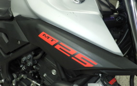 YAMAHA MT-25 2010 RG43J