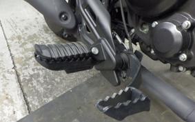 HONDA REBEL 250 S 2006 MC49