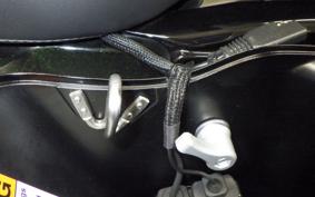 HARLEY FLTRXSE1920CVO 2023