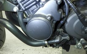 HONDA HORNET 250 2025 MC31