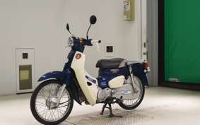 HONDA C50 SUPER CUB 2009 AA09