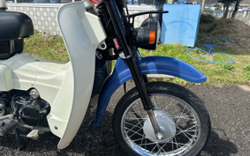 SUZUKI BIRDIE50 BA43A