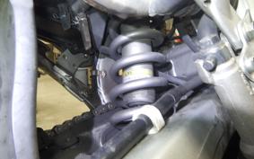HONDA CRF250L 2007 MD38