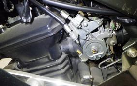 KAWASAKI NINJA 250R 2015 EX250K