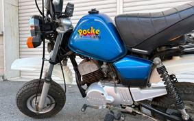 YAMAHA POCKET50 4U1