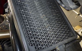 TRIUMPH STREET SCRAMBLER 2019