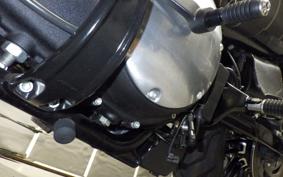 HARLEY XL1200X 2021