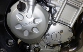 YAMAHA FZ1 FAZER 2009 RN21J