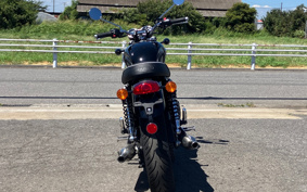 TRIUMPH TRIUMPH BONNEVILLE T100 2024 DAD70G