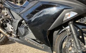 KAWASAKI NINJA 250 EX250L