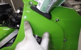 KAWASAKI KR250 2025 KR250A
