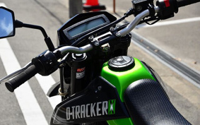KAWASAKI KLX125D TRACKER X 2012 LX250V