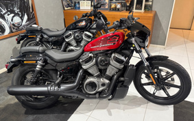 HARLEY RH975 NIGHT STAR 2022 ZH1