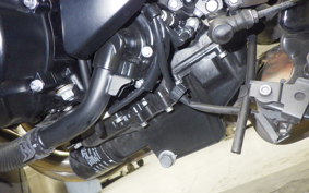 KAWASAKI Z900RS 2024 ZR900K