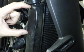 KAWASAKI ELIMINATOR400-3 2024 EL400A