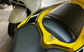 YAMAHA YZF-R1 2006 RN15