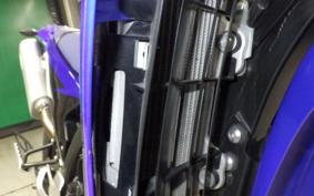 YAMAHA WR250X DG15J