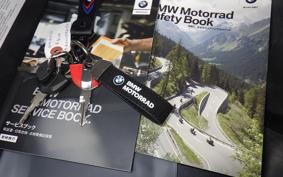 BMW G310GS 2018