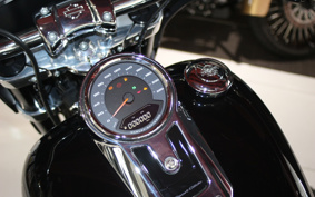 HARLEY FLSB 2022 YMJ