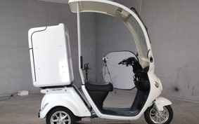 OTHER  BLAZE EV DELIVERY  ..