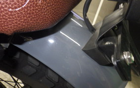 OTHER +MUTTｻﾊﾞｽ250