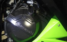 KAWASAKI NINJA 250 2015 EX250L