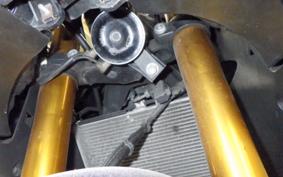 YAMAHA YZF-R25 A 1998 RG43J