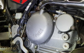 KAWASAKI SUPER SHERPA KL250G