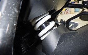 SUZUKI ｼﾞｸｻｰ250SF 2021 ED22Y