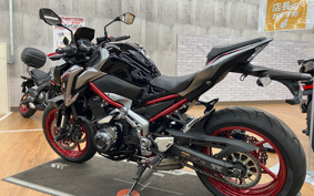 KAWASAKI Z900 2019 ZR900B