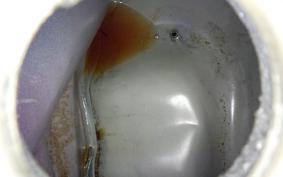 HARLEY FXS 1200 2013