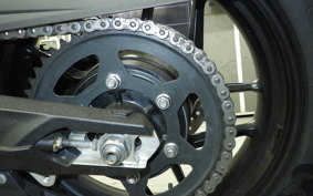 TRIUMPH TIGER 800 XR T 2019