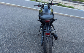 TRIUMPH TIGER 800 2026 L25P10