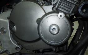 HONDA HORNET 250 MC31