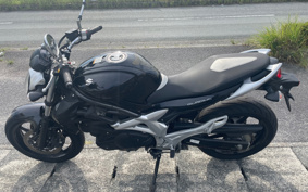 SUZUKI GLADIUS400 2010
