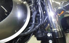 KAWASAKI W800 2024 EJ800E