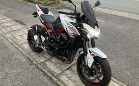 KAWASAKI Z900 2023 ZR900B