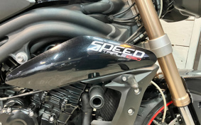 TRIUMPH SPEED TRIPLE 2013 TPN105