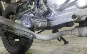 HONDA APE 50 2023 AC16