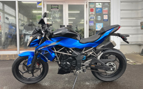 KAWASAKI Z250 SL BR250E